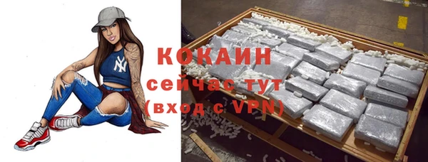 мдпв Сясьстрой