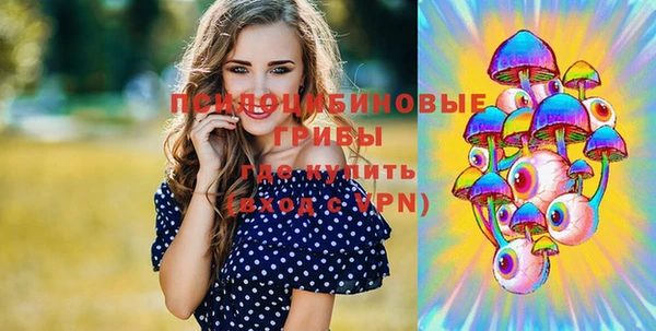 apvp Тайга
