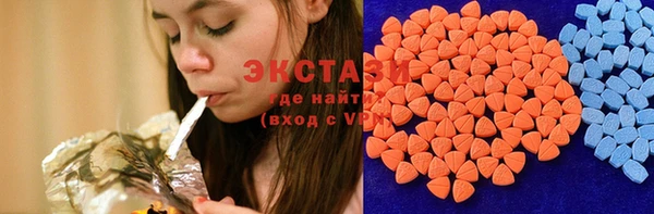 apvp Тайга