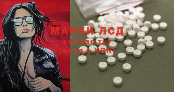 apvp Тайга