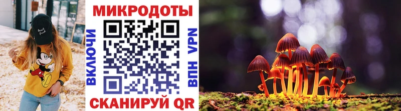 Псилоцибиновые грибы мицелий Алапаевск