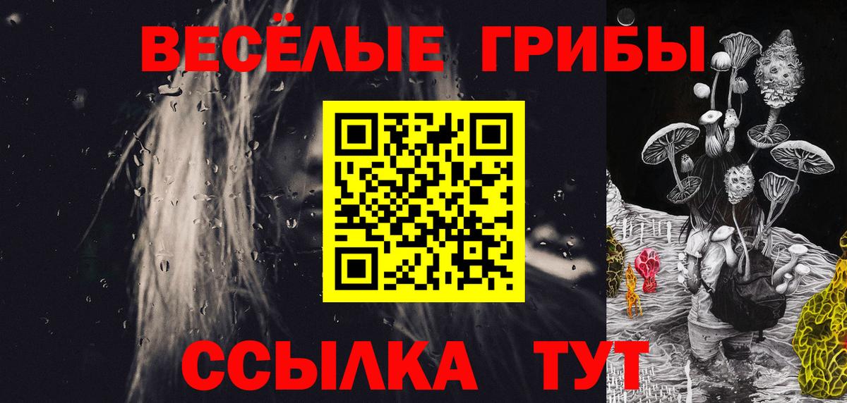 Псилоцибиновые грибы GOLDEN TEACHER Алапаевск